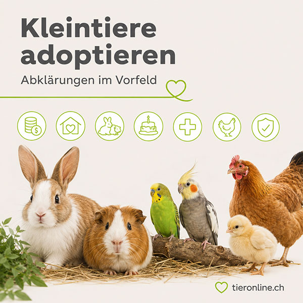 Kleintiere adoptieren - tieronline